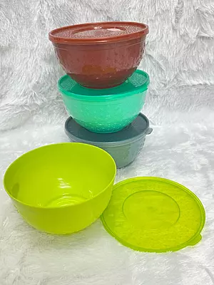 with lid bowl