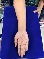 Pillow
