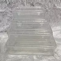 Plastic Cone Box