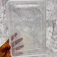 Plastic Cone Box